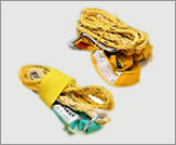 Nylon Safety Belt with Plated Buckle